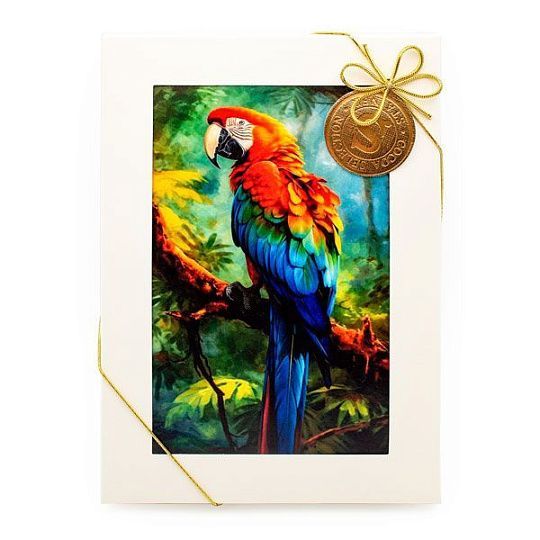 Пралине ассорти Cocoa Selection 4176S, Stainer, 165 г (бежевая коробка с попугаем) 